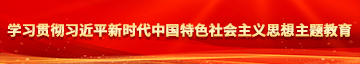 操小穴视频网站学习贯彻习近平新时代中国特色社会主义思想主题教育